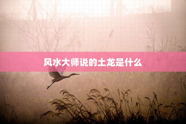 风水大师说的土龙是什么