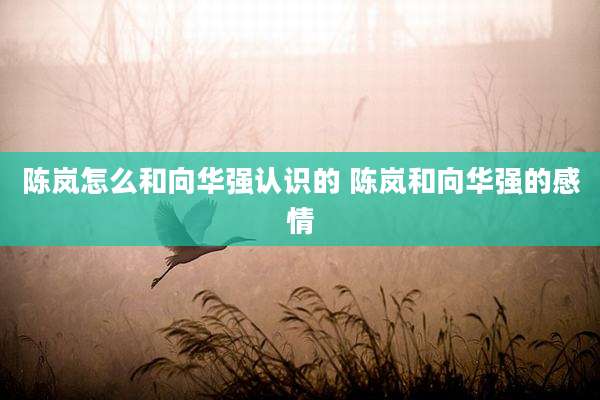 陈岚怎么和向华强认识的 陈岚和向华强的感情
