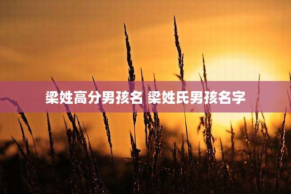 梁姓高分男孩名 梁姓氏男孩名字