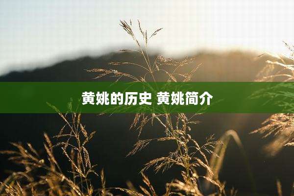 黄姚的历史 黄姚简介