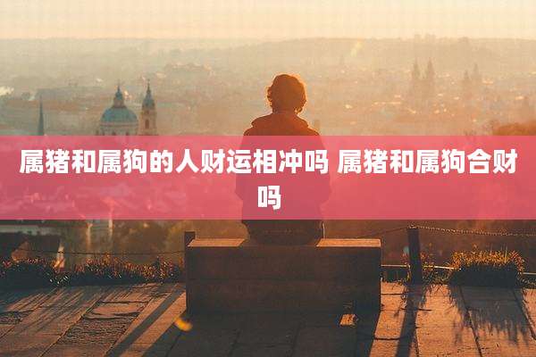 属猪和属狗的人财运相冲吗 属猪和属狗合财吗
