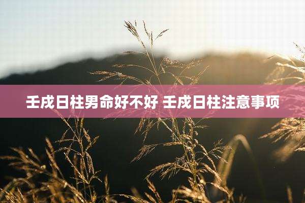 壬戌日柱男命好不好 壬戍日柱注意事项