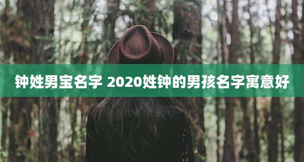 钟姓男宝名字 2020姓钟的男孩名字寓意好