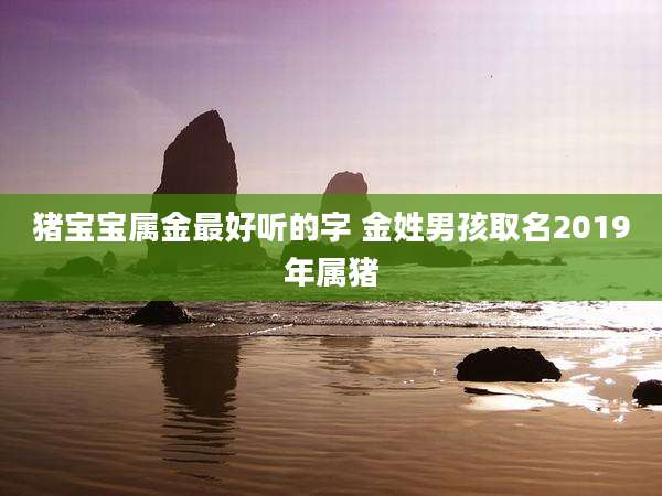 猪宝宝属金最好听的字 金姓男孩取名2019年属猪