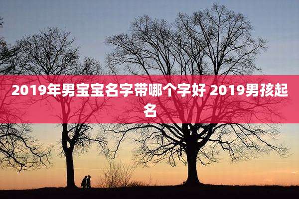 2019年男宝宝名字带哪个字好 2019男孩起名