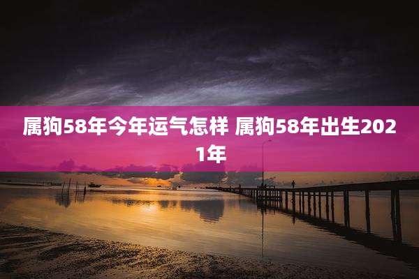 属狗58年今年运气怎样 属狗58年出生2021年