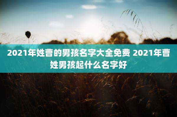2021年姓曹的男孩名字大全免费 2021年曹姓男孩起什么名字好