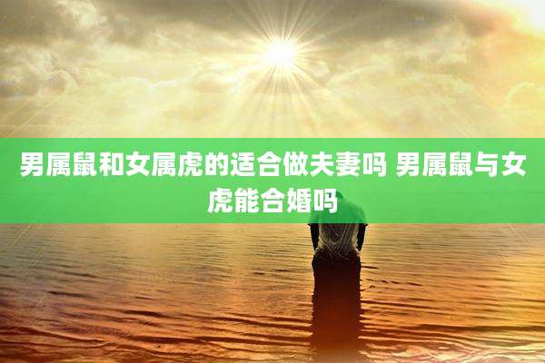 男属鼠和女属虎的适合做夫妻吗 男属鼠与女虎能合婚吗