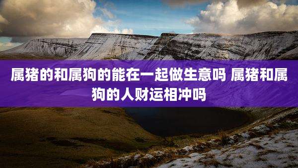 属猪的和属狗的能在一起做生意吗 属猪和属狗的人财运相冲吗