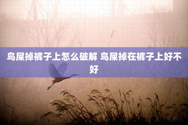 鸟屎掉裤子上怎么破解 鸟屎掉在裤子上好不好