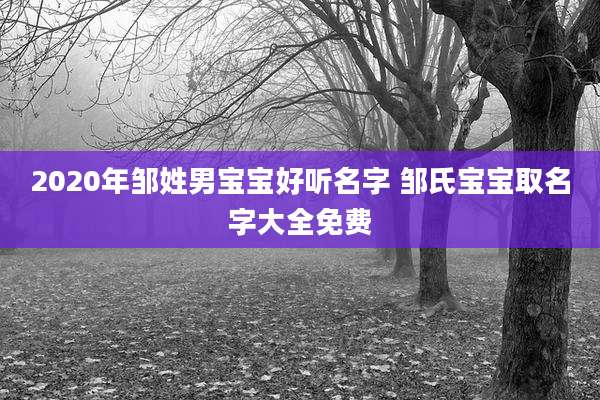 2020年邹姓男宝宝好听名字 邹氏宝宝取名字大全免费