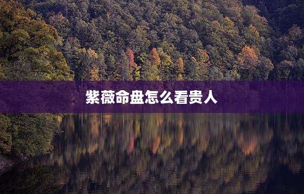 紫薇命盘怎么看贵人