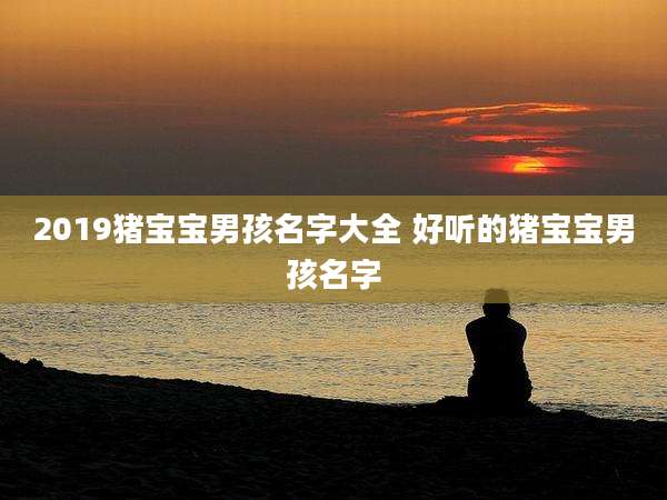 2019猪宝宝男孩名字大全 好听的猪宝宝男孩名字