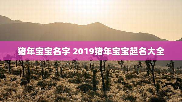 猪年宝宝名字 2019猪年宝宝起名大全