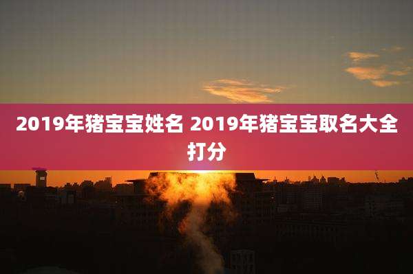 2019年猪宝宝姓名 2019年猪宝宝取名大全打分