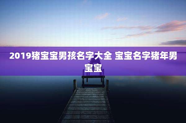 2019猪宝宝男孩名字大全 宝宝名字猪年男宝宝