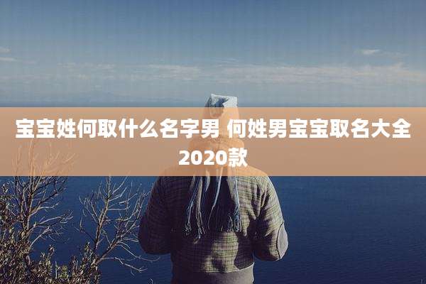 宝宝姓何取什么名字男 何姓男宝宝取名大全2020款