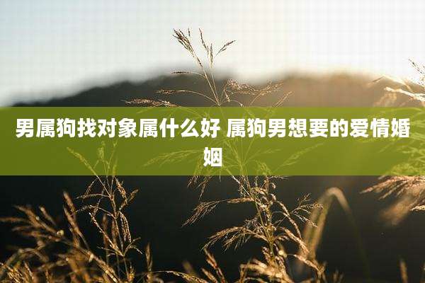 男属狗找对象属什么好 属狗男想要的爱情婚姻