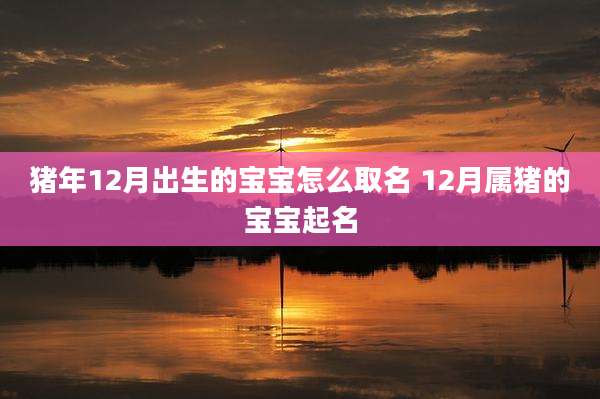 猪年12月出生的宝宝怎么取名 12月属猪的宝宝起名