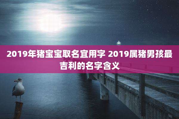 2019年猪宝宝取名宜用字 2019属猪男孩最吉利的名字含义