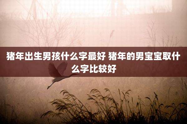猪年出生男孩什么字最好 猪年的男宝宝取什么字比较好