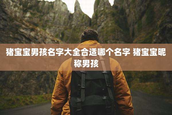 猪宝宝男孩名字大全合适哪个名字 猪宝宝昵称男孩