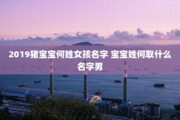 2019猪宝宝何姓女孩名字 宝宝姓何取什么名字男