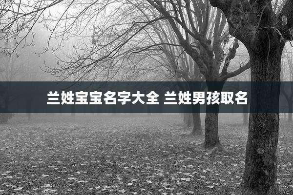 兰姓宝宝名字大全 兰姓男孩取名