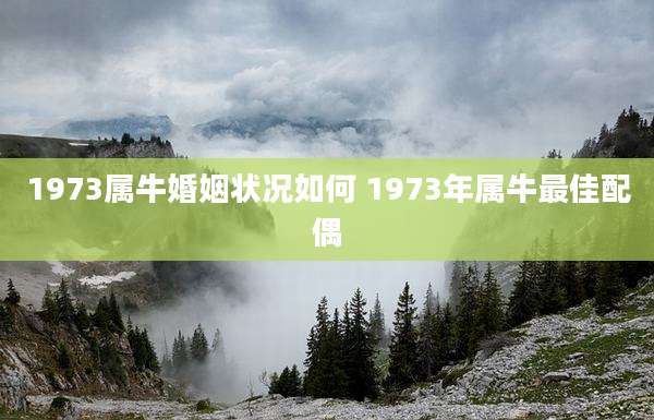 1973属牛婚姻状况如何 1973年属牛最佳配偶