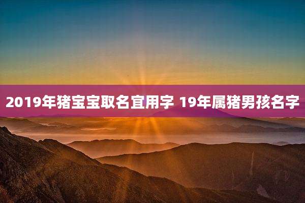 2019年猪宝宝取名宜用字 19年属猪男孩名字