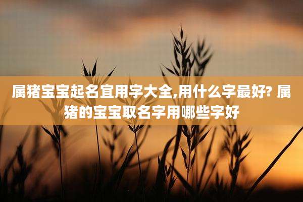属猪宝宝起名宜用字大全,用什么字最好? 属猪的宝宝取名字用哪些字好