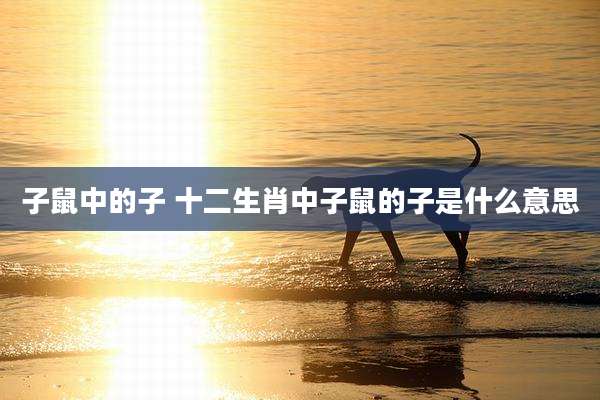 子鼠中的子 十二生肖中子鼠的子是什么意思