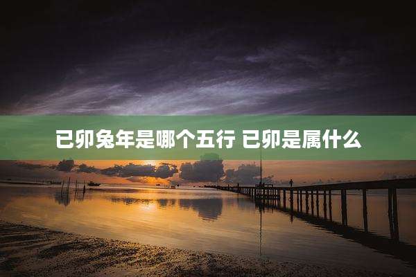 已卯兔年是哪个五行 已卯是属什么
