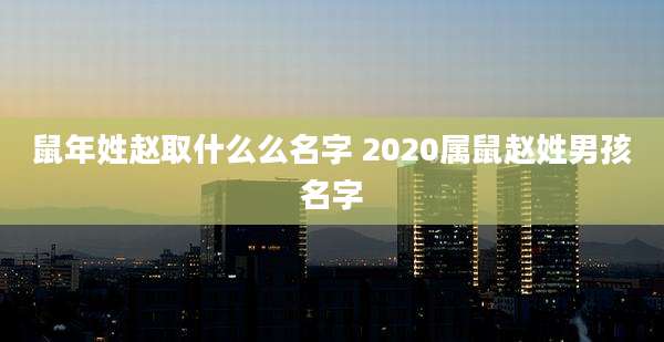 鼠年姓赵取什么么名字 2020属鼠赵姓男孩名字