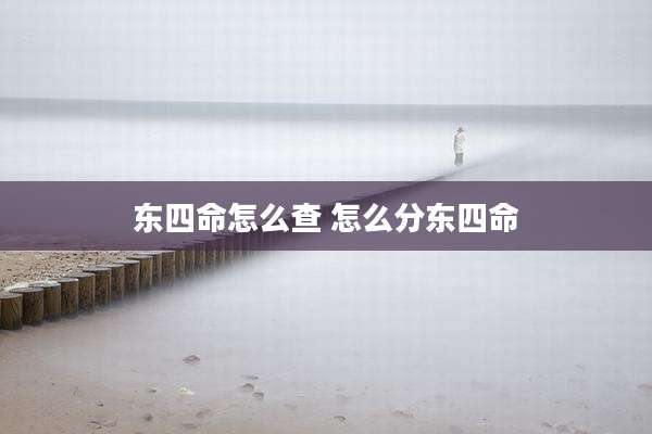 东四命怎么查 怎么分东四命
