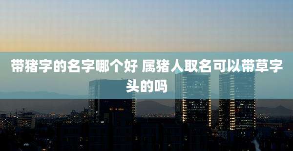 带猪字的名字哪个好 属猪人取名可以带草字头的吗