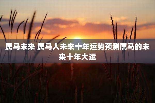 属马未来 属马人未来十年运势预测属马的未来十年大运