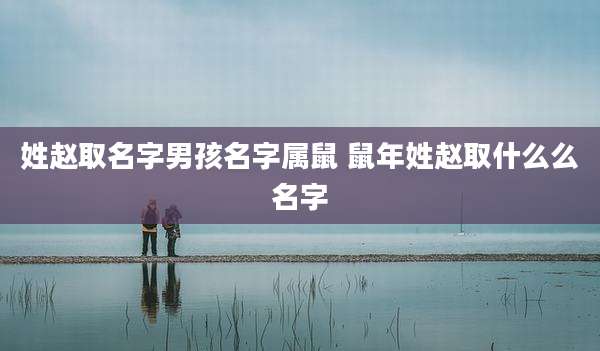 姓赵取名字男孩名字属鼠 鼠年姓赵取什么么名字