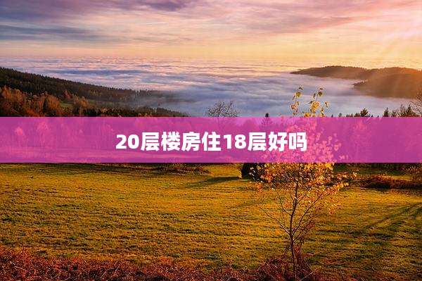 20层楼房住18层好吗