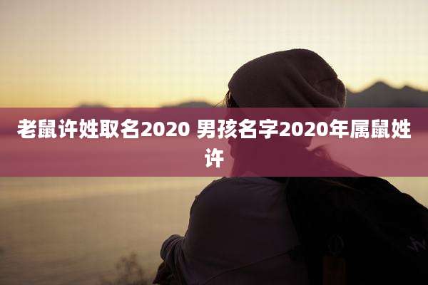 老鼠许姓取名2020 男孩名字2020年属鼠姓许