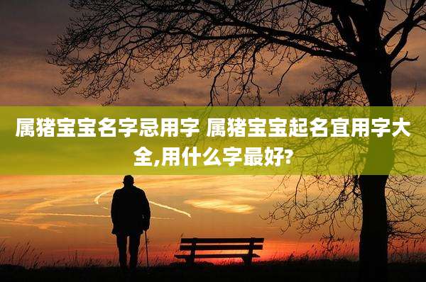 属猪宝宝名字忌用字 属猪宝宝起名宜用字大全,用什么字最好?