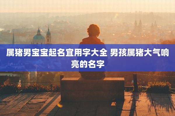 属猪男宝宝起名宜用字大全 男孩属猪大气响亮的名字
