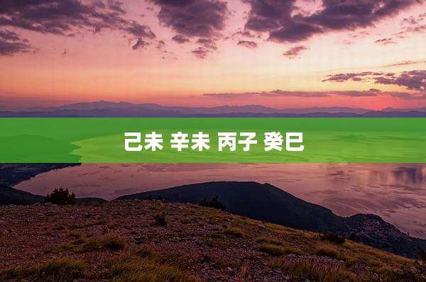 己未 辛未 丙子 癸巳
