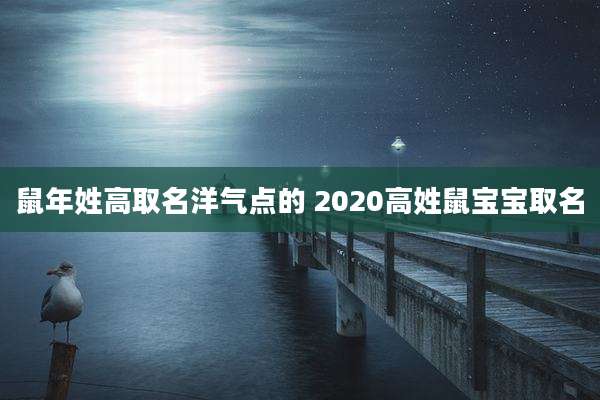 鼠年姓高取名洋气点的 2020高姓鼠宝宝取名