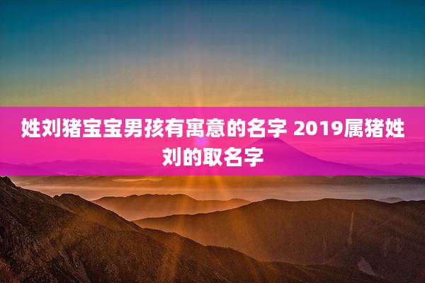 姓刘猪宝宝男孩有寓意的名字 2019属猪姓刘的取名字