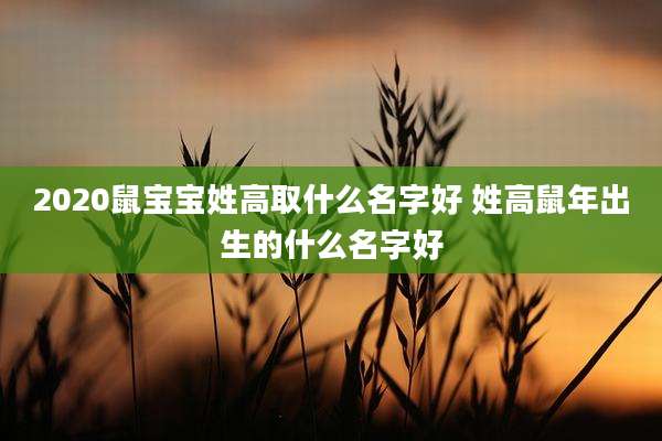 2020鼠宝宝姓高取什么名字好 姓高鼠年出生的什么名字好