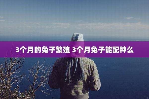 3个月的兔子繁殖 3个月兔子能配种么