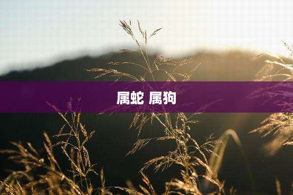属蛇 属狗