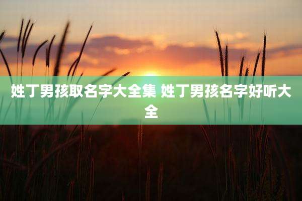 姓丁男孩取名字大全集 姓丁男孩名字好听大全