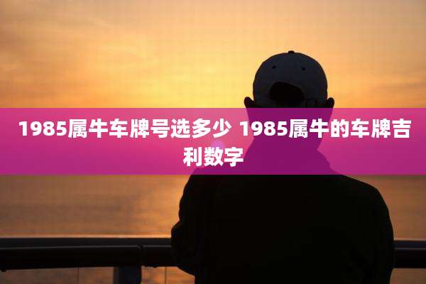 1985属牛车牌号选多少 1985属牛的车牌吉利数字